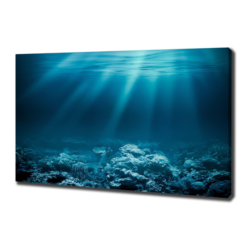 Canvas wall art Underwater world