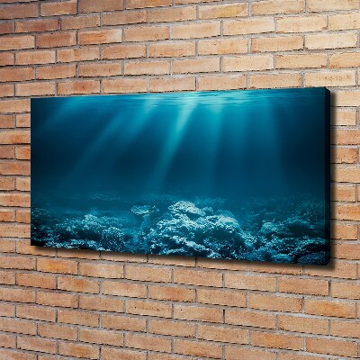 Canvas wall art Underwater world