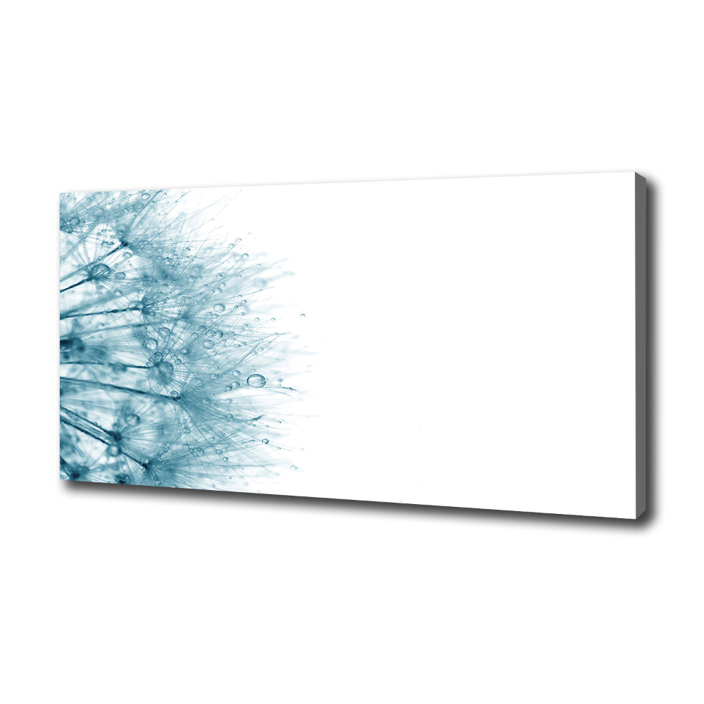 Canvas wall art Dandelion