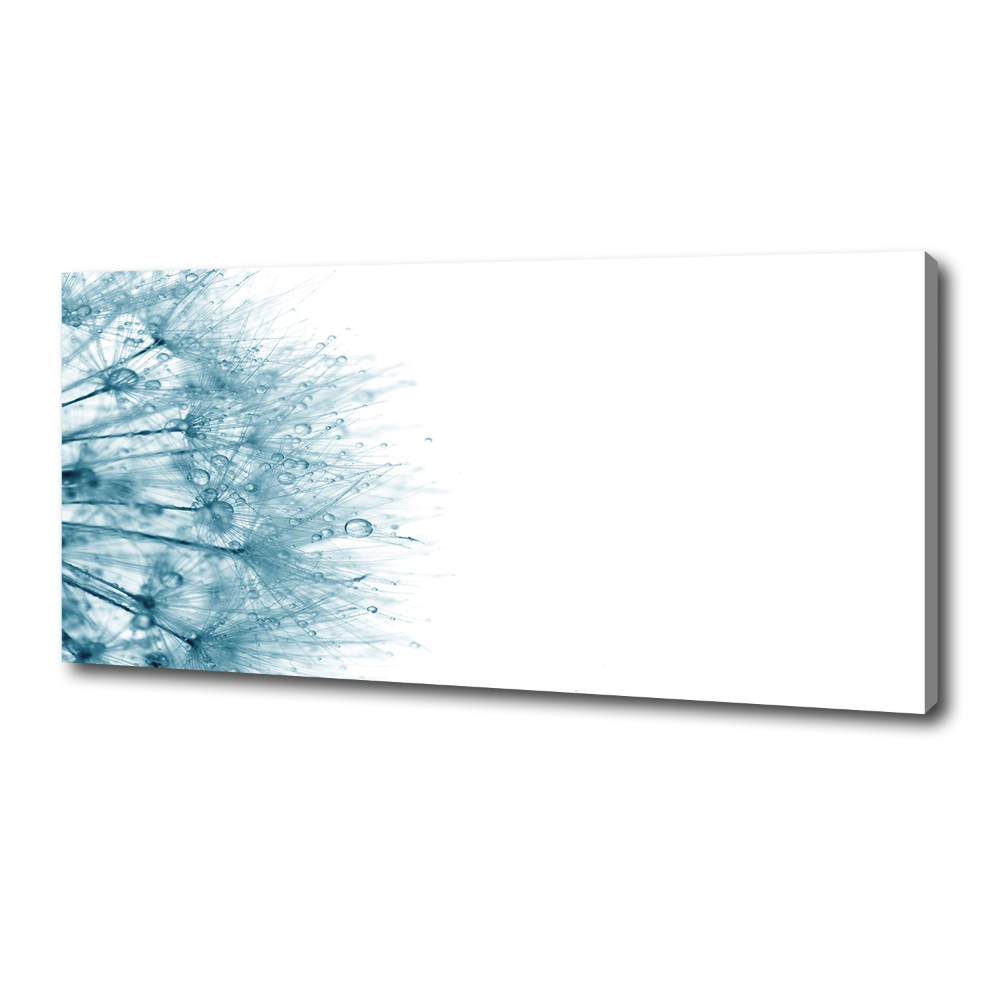 Canvas wall art Dandelion