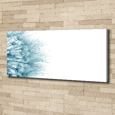 Canvas wall art Dandelion