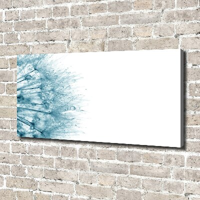 Canvas wall art Dandelion