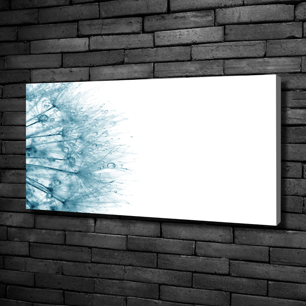 Canvas wall art Dandelion