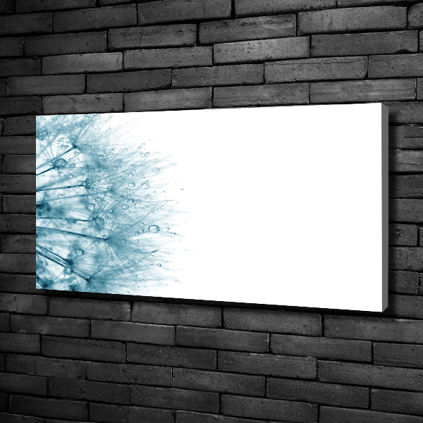 Canvas wall art Dandelion