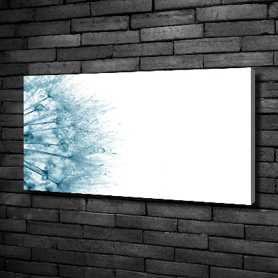 Canvas wall art Dandelion