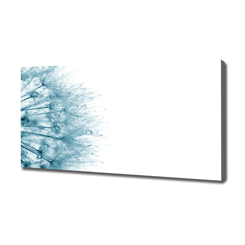 Canvas wall art Dandelion