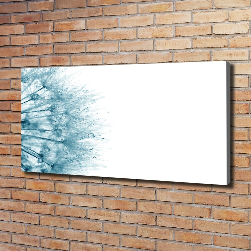 Canvas wall art Dandelion