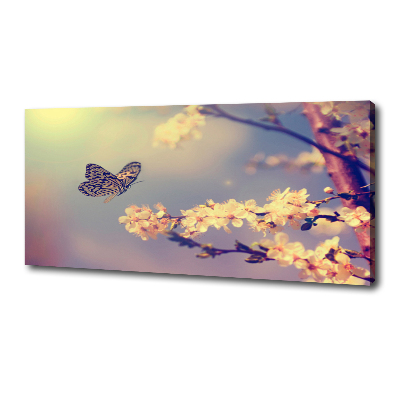 Canvas wall art Cherry flower and butterfly