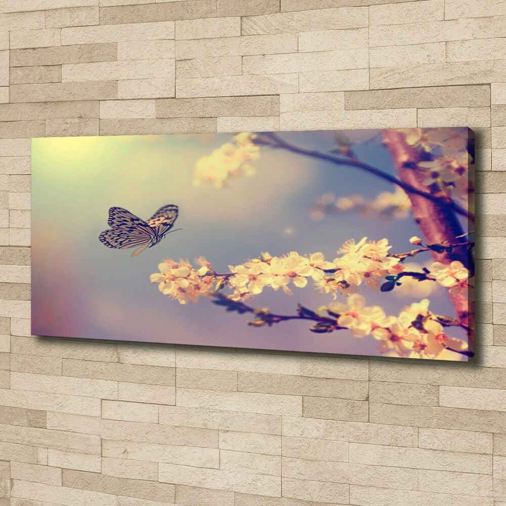 Canvas wall art Cherry flower and butterfly