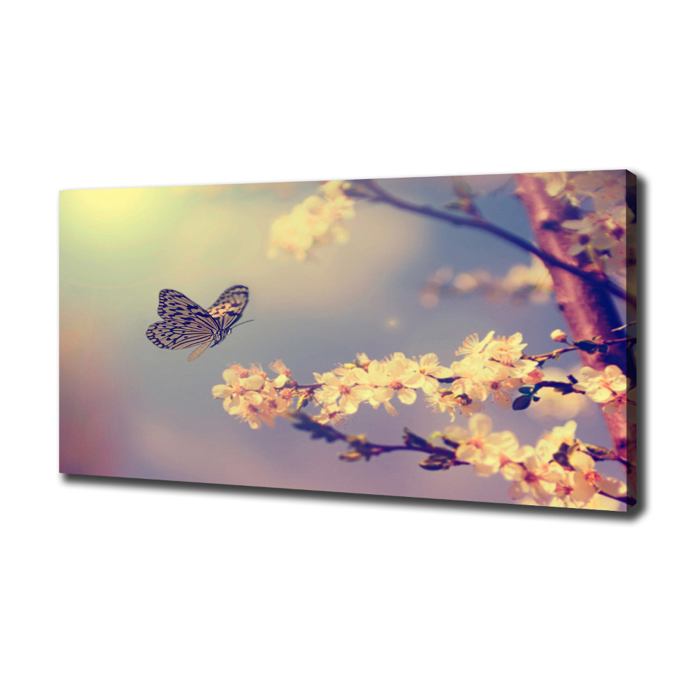 Canvas wall art Cherry flower and butterfly