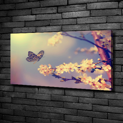 Canvas wall art Cherry flower and butterfly