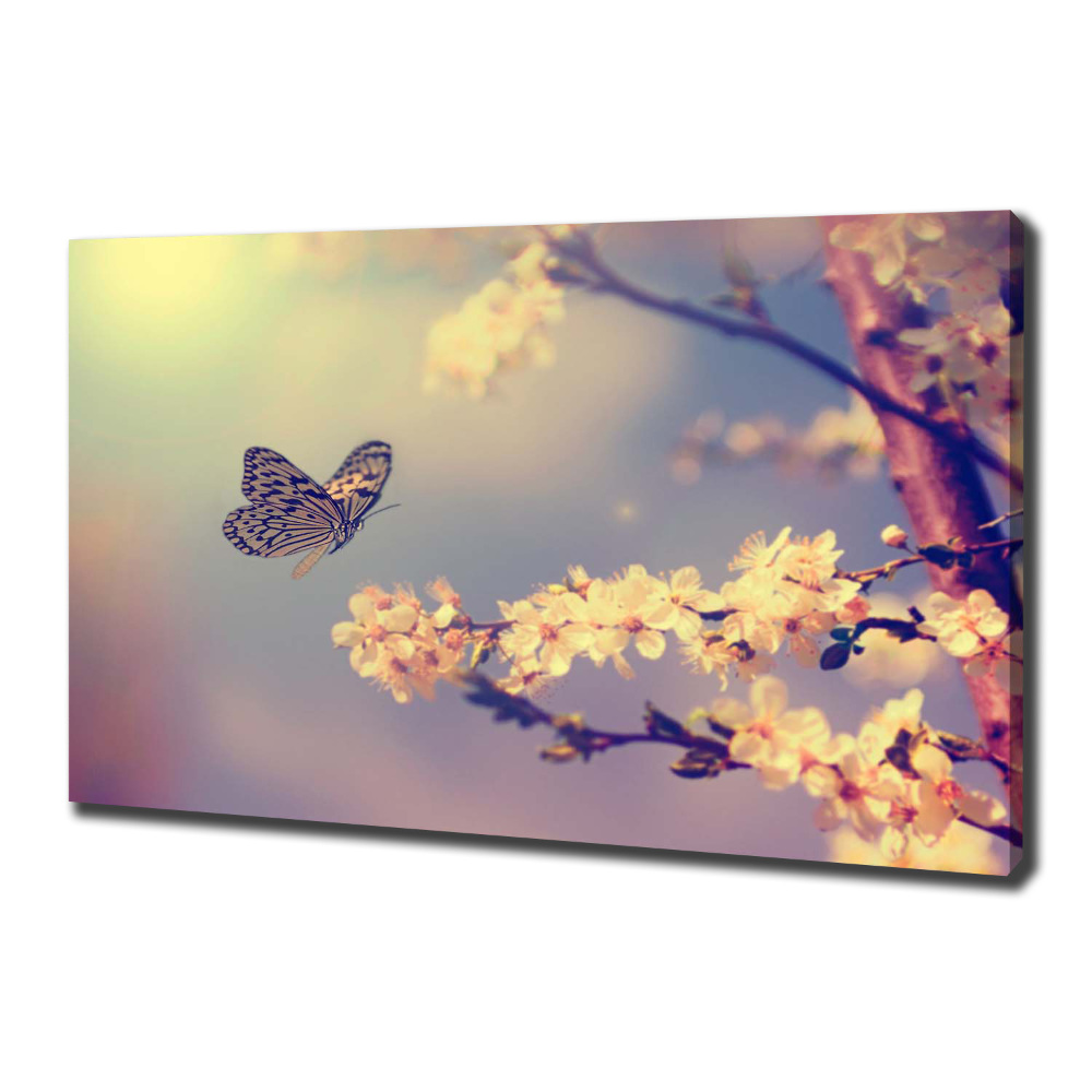 Canvas wall art Cherry flower and butterfly