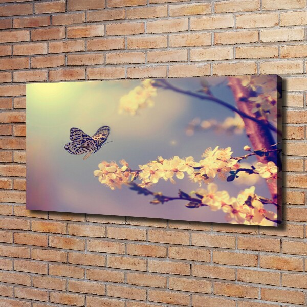 Canvas wall art Cherry flower and butterfly