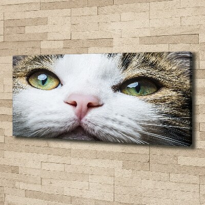 Canvas wall art Green cat eyes