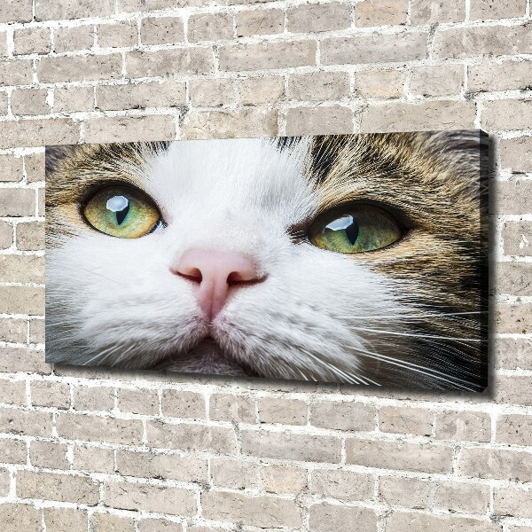 Canvas wall art Green cat eyes