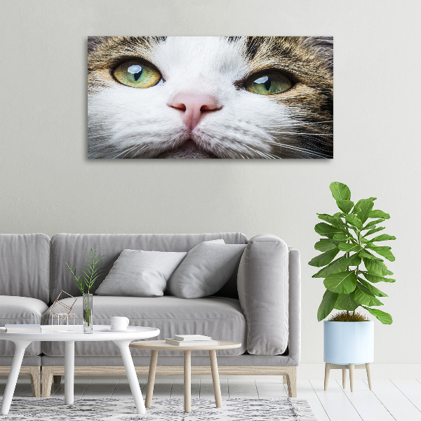 Canvas wall art Green cat eyes