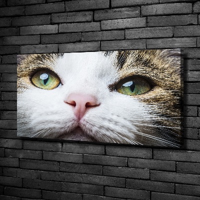 Canvas wall art Green cat eyes