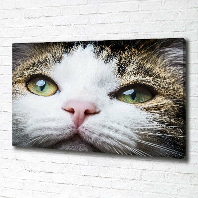 Canvas wall art Green cat eyes