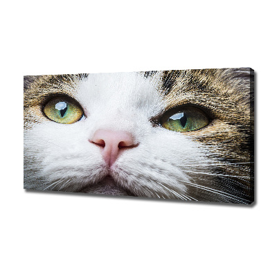 Canvas wall art Green cat eyes