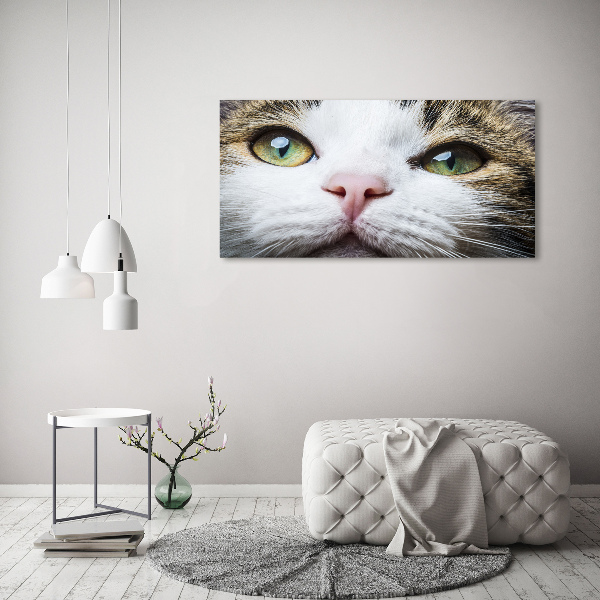 Canvas wall art Green cat eyes