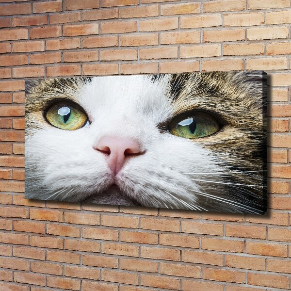 Canvas wall art Green cat eyes