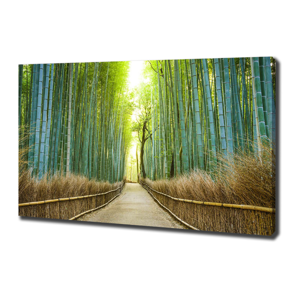 Canvas wall art Bamboo forest