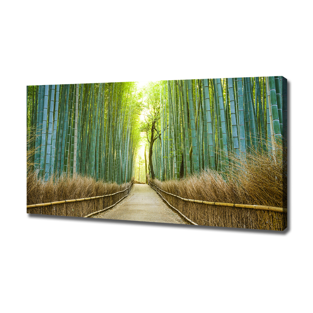 Canvas wall art Bamboo forest