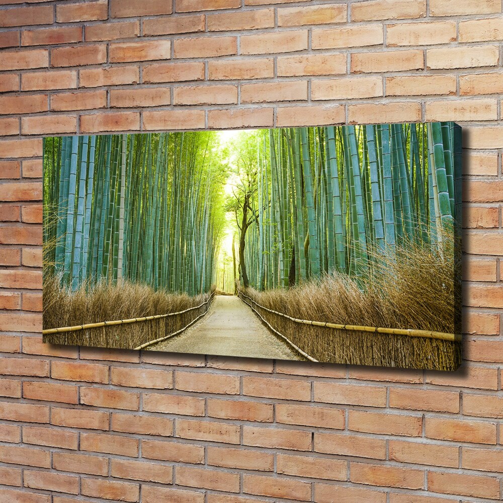 Canvas wall art Bamboo forest