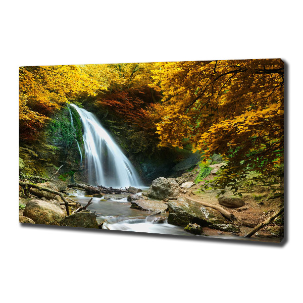 Canvas wall art Waterfall in the forest