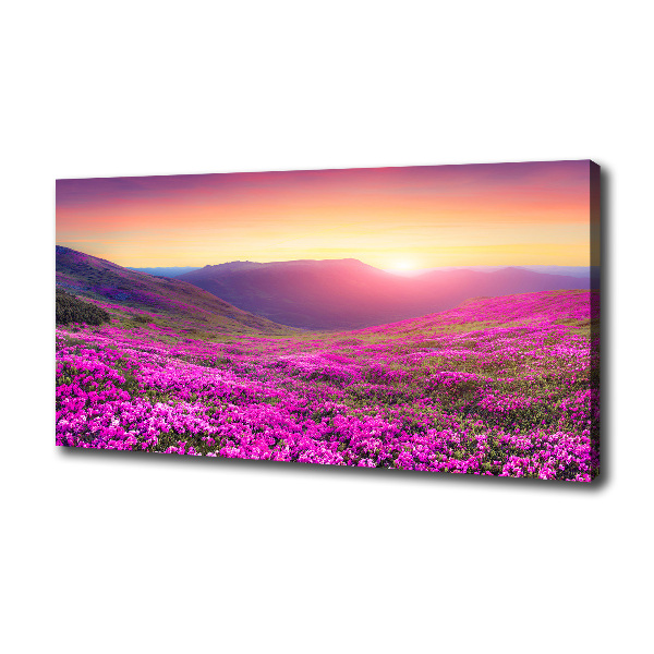 Canvas wall art Pink hills