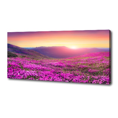 Canvas wall art Pink hills