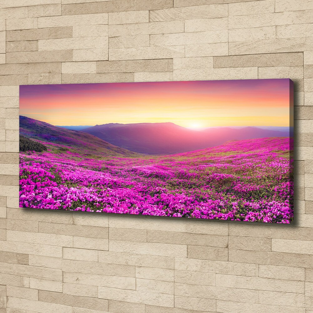 Canvas wall art Pink hills