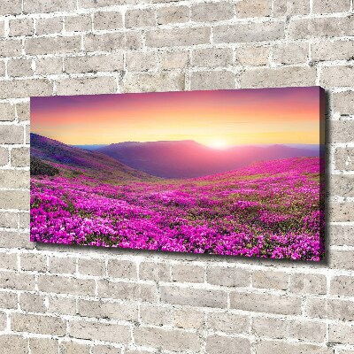 Canvas wall art Pink hills