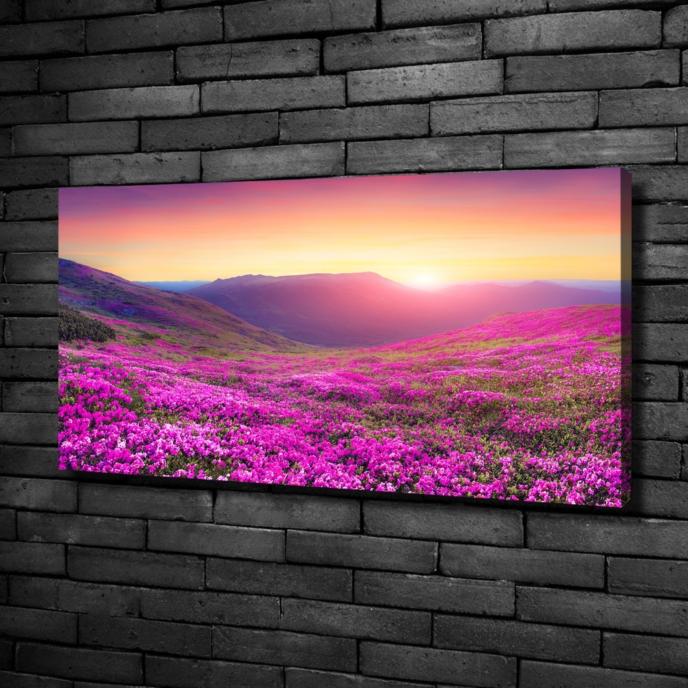 Canvas wall art Pink hills