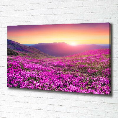 Canvas wall art Pink hills