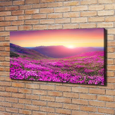 Canvas wall art Pink hills