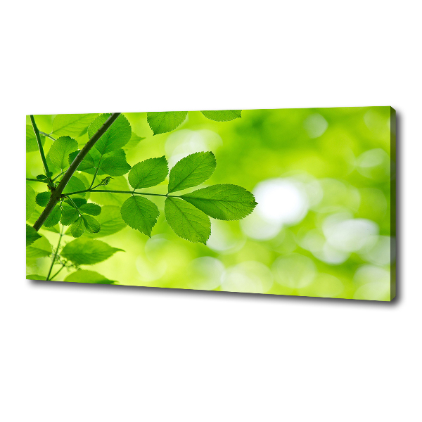 Canvas wall art Green leaves