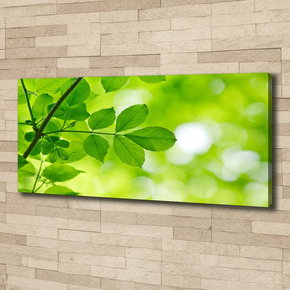 Canvas wall art Green leaves