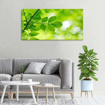 Canvas wall art Green leaves