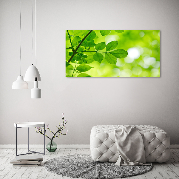 Canvas wall art Green leaves