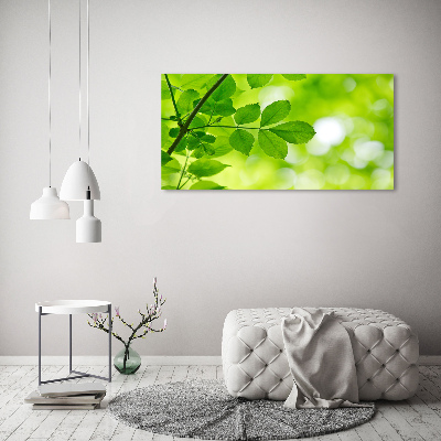 Canvas wall art Green leaves