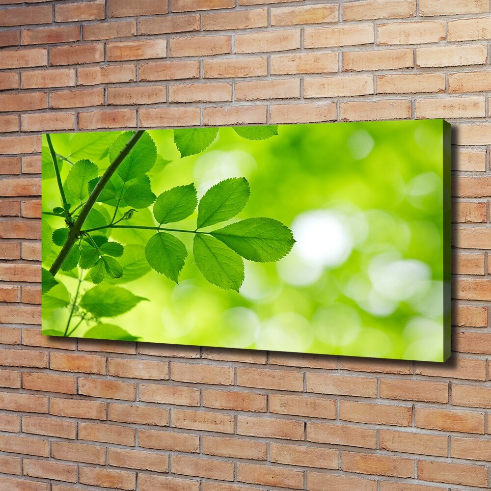 Canvas wall art Green leaves