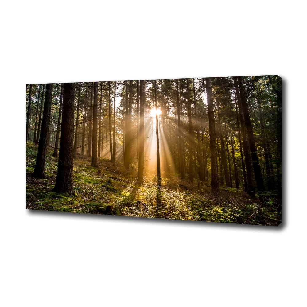 Canvas wall art Sunlight