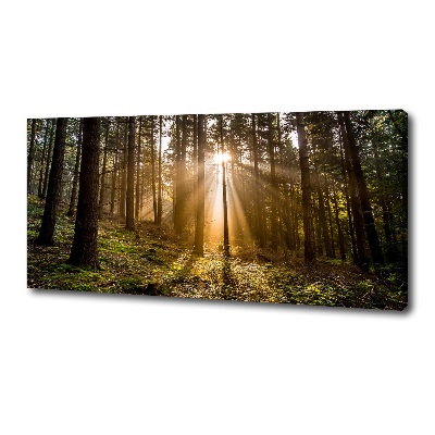 Canvas wall art Sunlight