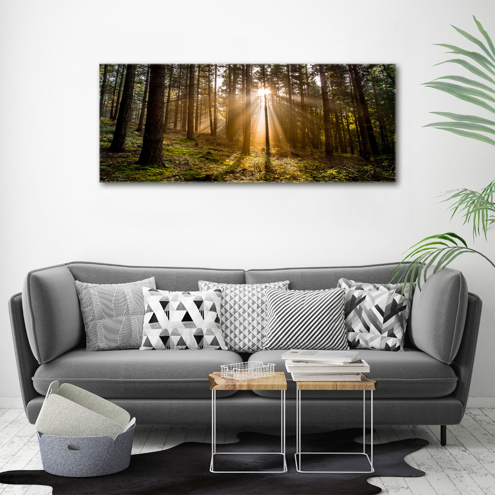 Canvas wall art Sunlight