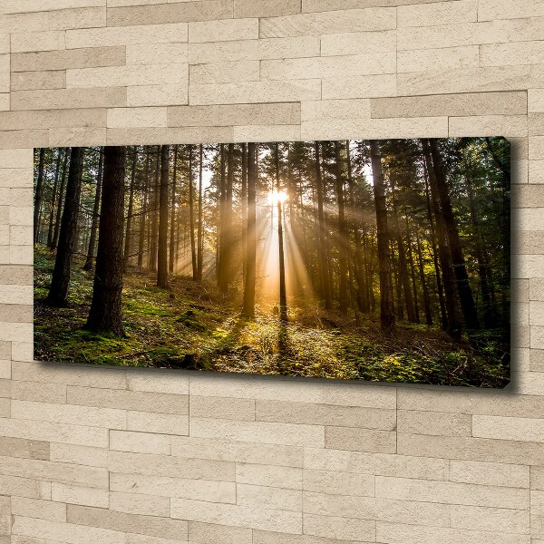 Canvas wall art Sunlight