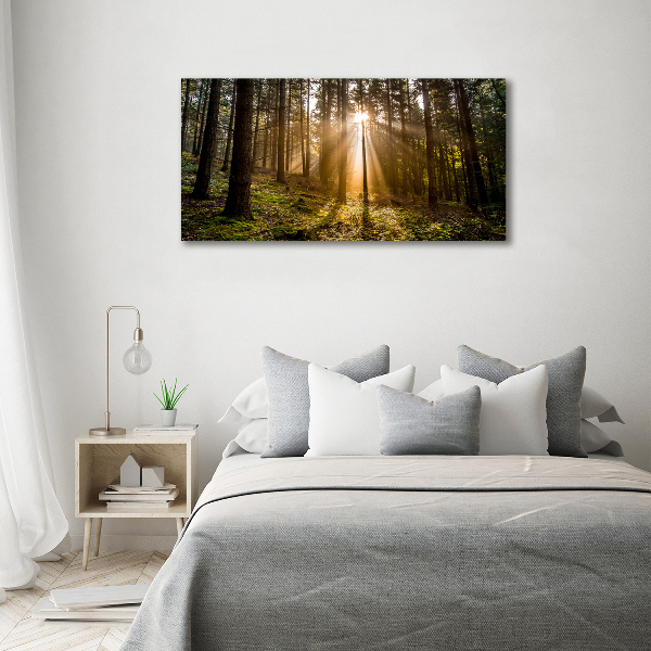 Canvas wall art Sunlight