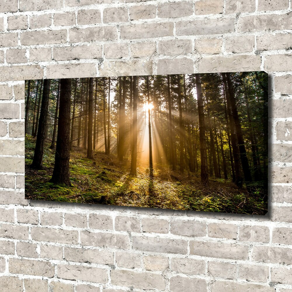 Canvas wall art Sunlight