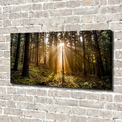 Canvas wall art Sunlight