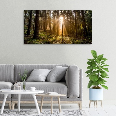 Canvas wall art Sunlight